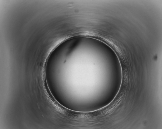 X0000100861375200806271149