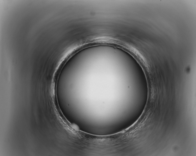 X0000100861376200806271149