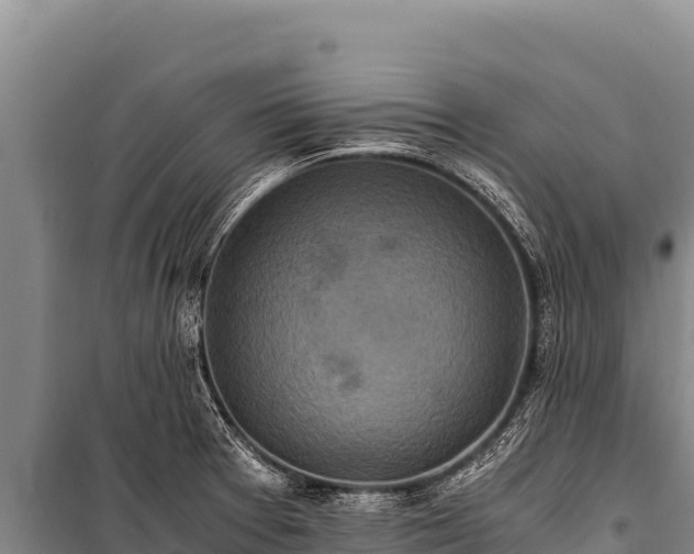 X0000100861377200806271149