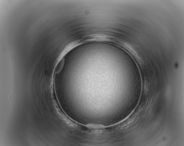 X0000100861378200806271149