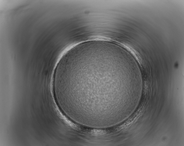 X0000100861379200806271149