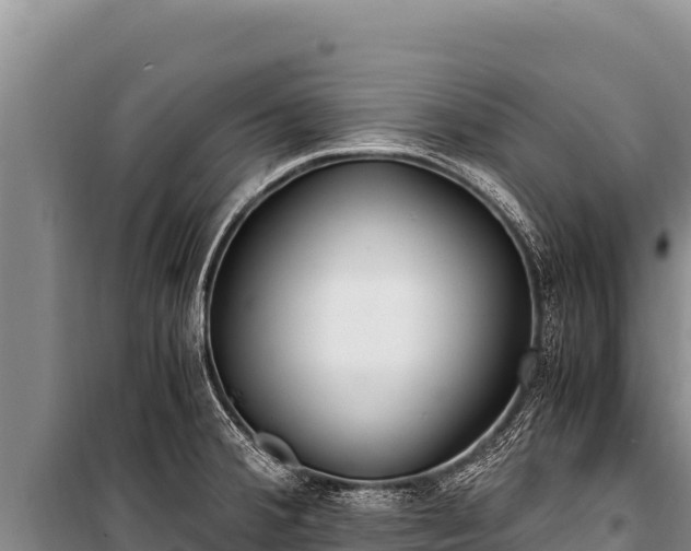 X0000100861380200806271149