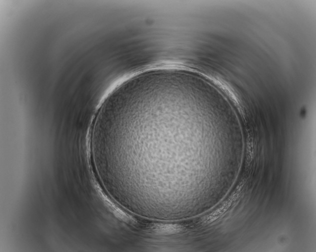 X0000100861382200806271149