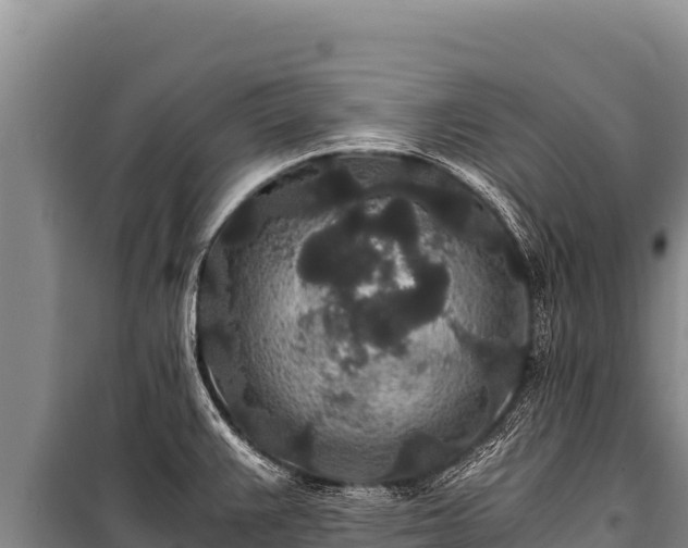 X0000100861383200806271149