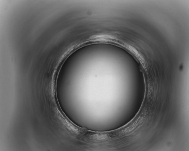 X0000100861384200806271149