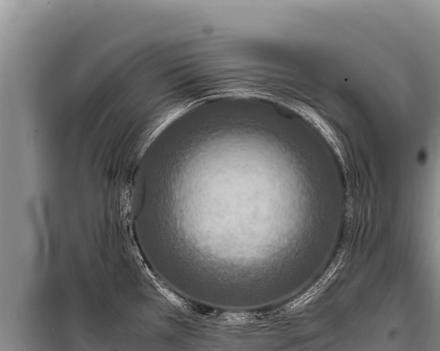 X0000100861385200806271149