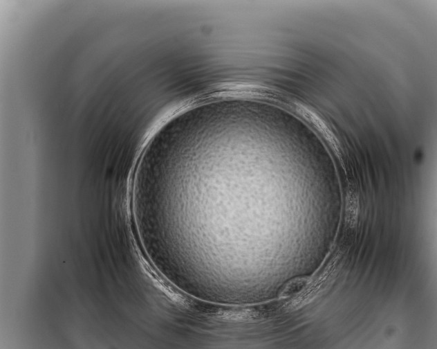 X0000100861386200806271149