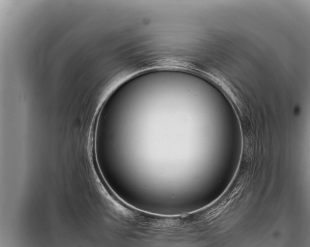 X0000100861387200806271149