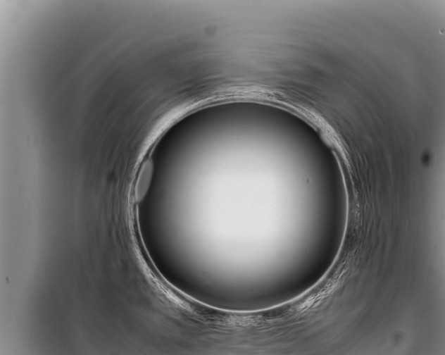 X0000100861389200806271149