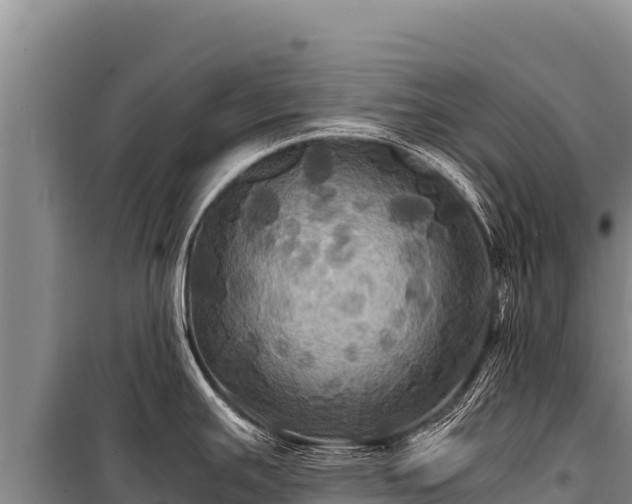 X0000100861391200806271149