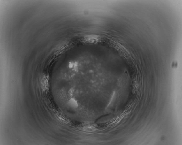 X0000100861394200806271148