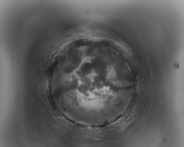 X0000100861397200806271148