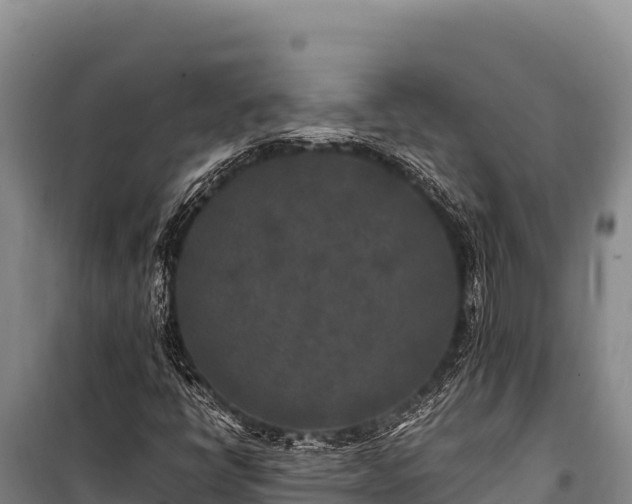 X0000100861398200806271148