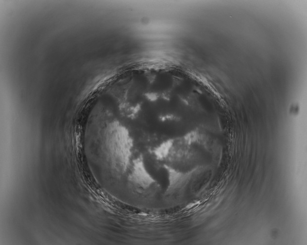 X0000100861399200806271148