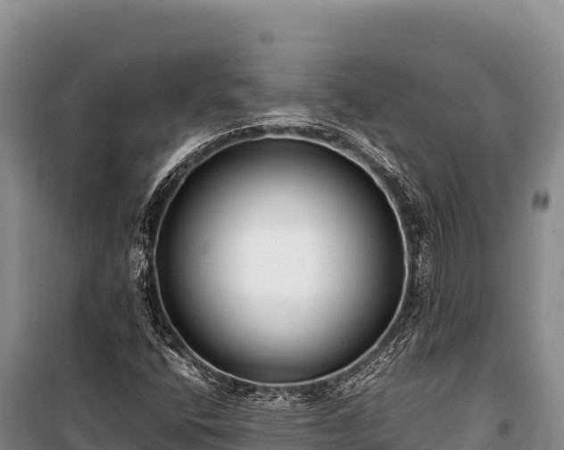 X0000100861400200806271148