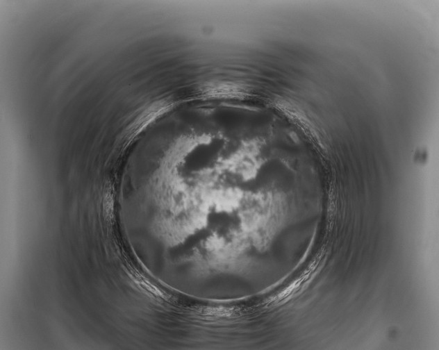 X0000100861401200806271148