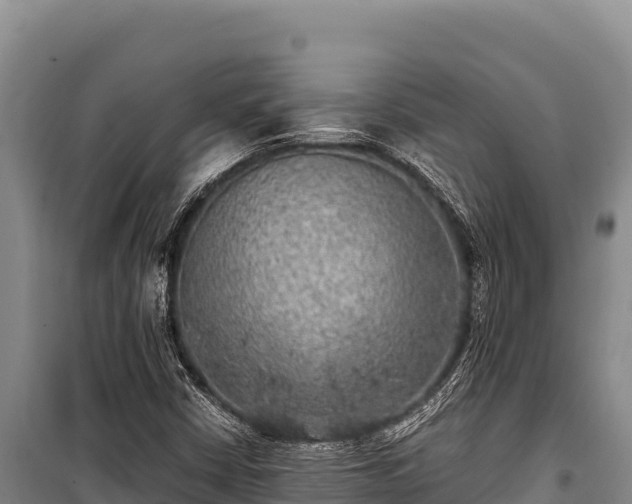 X0000100861402200806271149