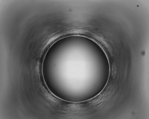 X0000100861404200806271149