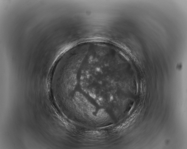 X0000100861405200806271149