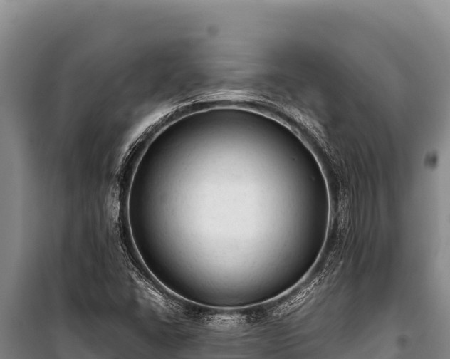 X0000100861406200806271149