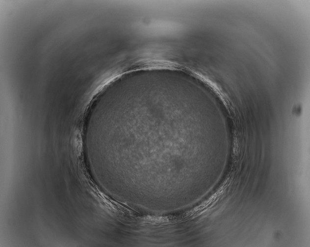 X0000100861407200806271149