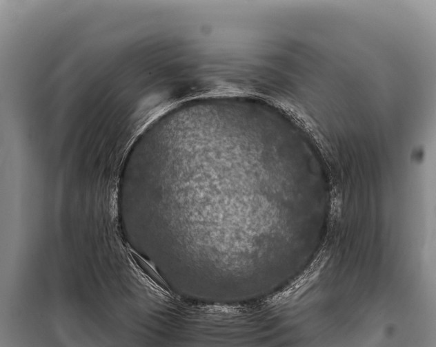 X0000100861409200806271149