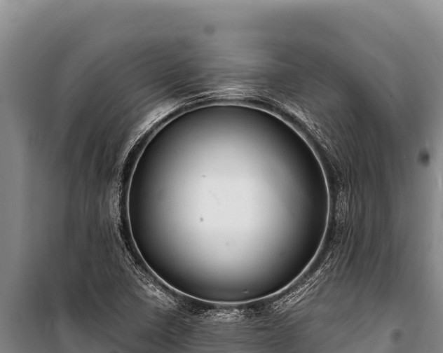 X0000100861410200806271149