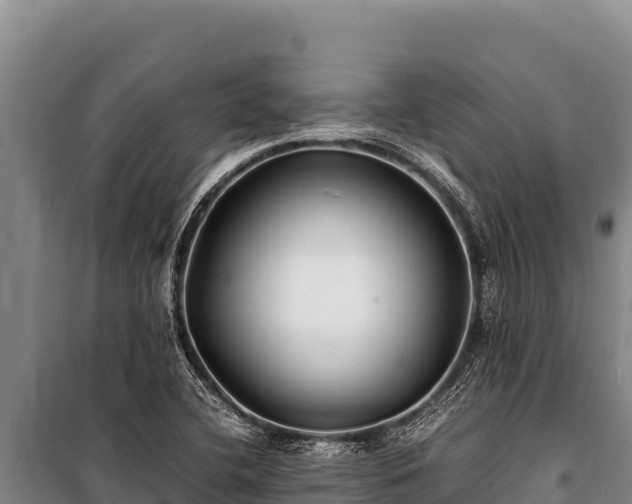 X0000100861412200806271149