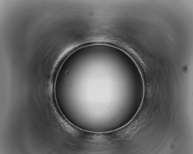 X0000100861416200806271149