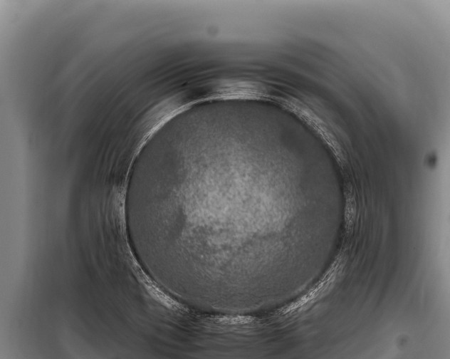 X0000100861417200806271149