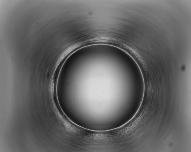 X0000100861418200806271149