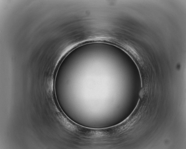 X0000100861420200806271149