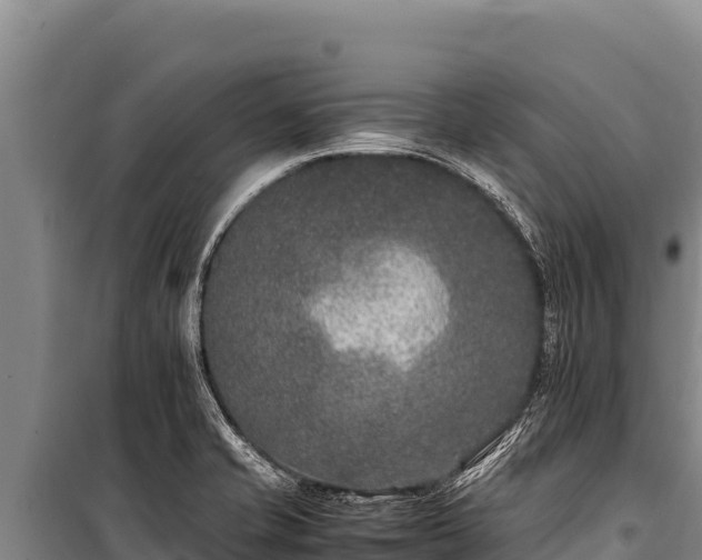 X0000100861421200806271149