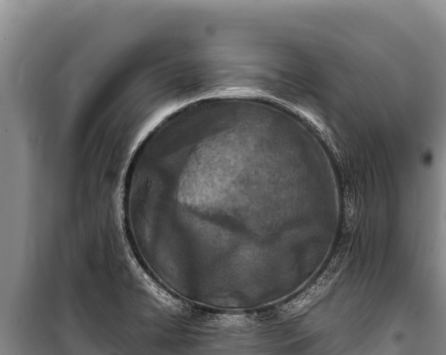 X0000100861422200806271149