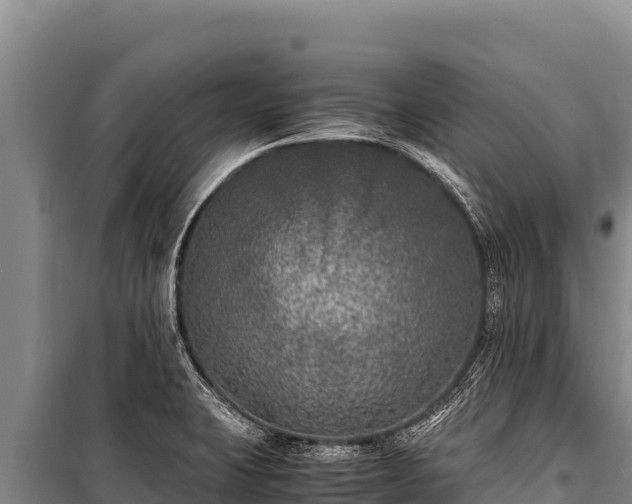 X0000100861423200806271149