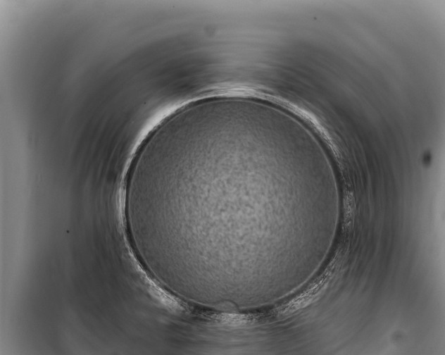 X0000100861424200806271149