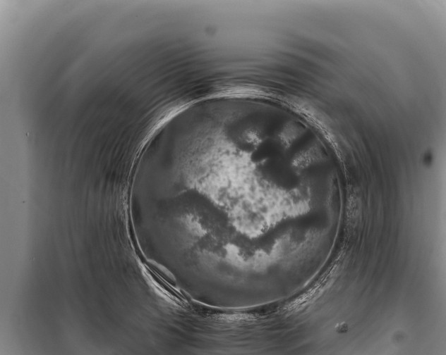 X0000100861425200806271149