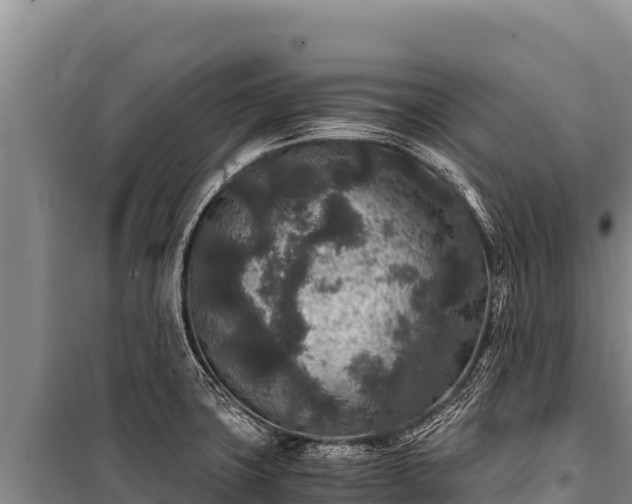 X0000100861427200806271149