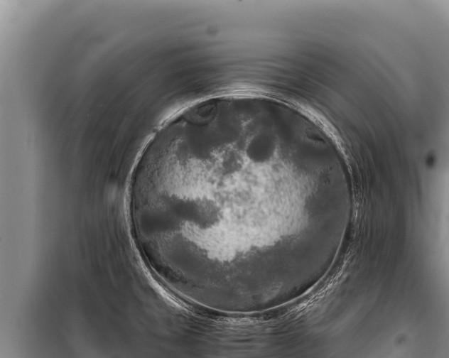 X0000100861429200806271149