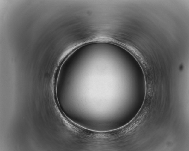 X0000100861430200806271149