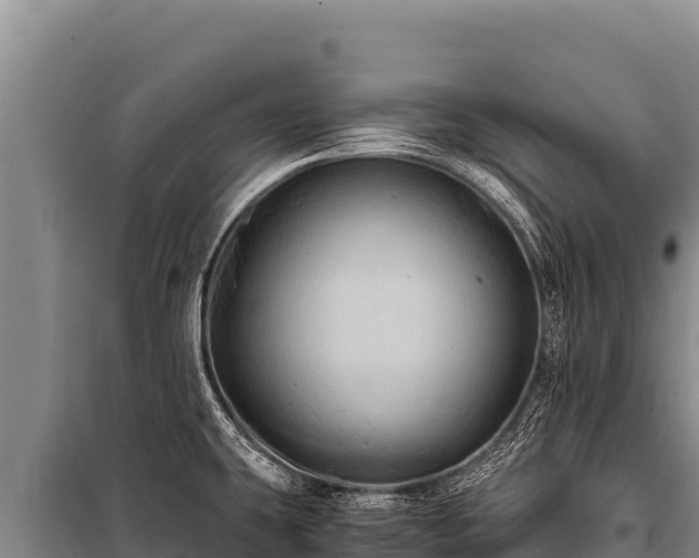 X0000100861431200806271149