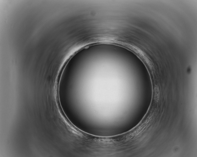 X0000100861432200806271149