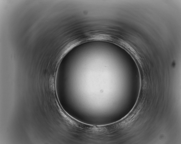 X0000100861433200806271149