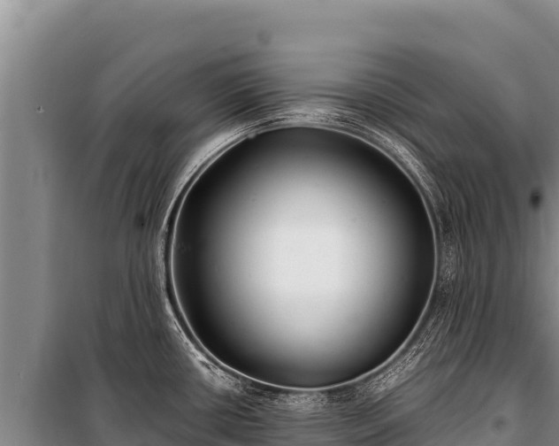 X0000100861434200806271149