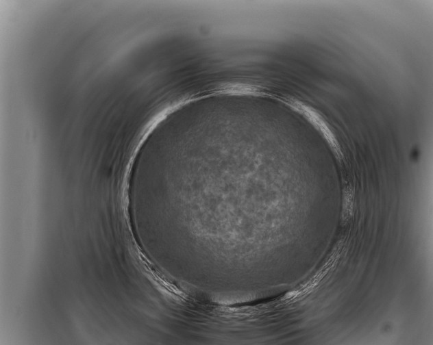 X0000100861435200806271149