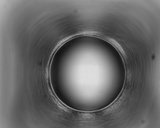 X0000100861436200806271149