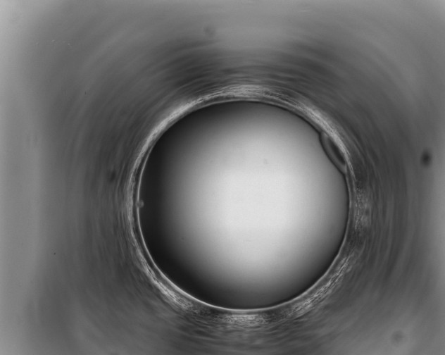 X0000100861437200806271149