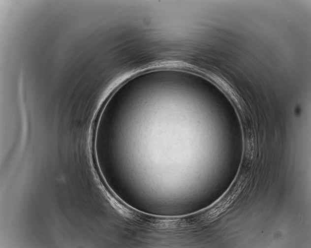 X0000100861438200806271149