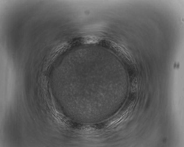 X0000100861441200806271148