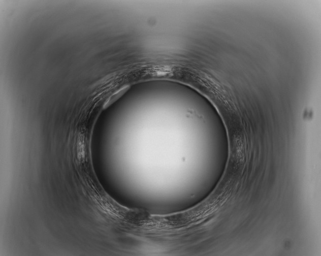 X0000100861442200806271148